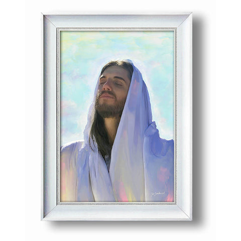 Jesus The Christ - Frame 13