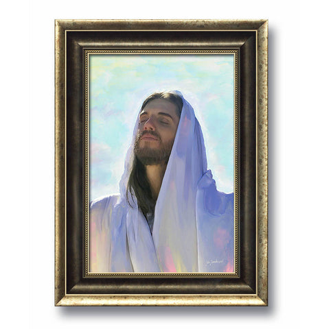 Jesus The Christ - Frame 07